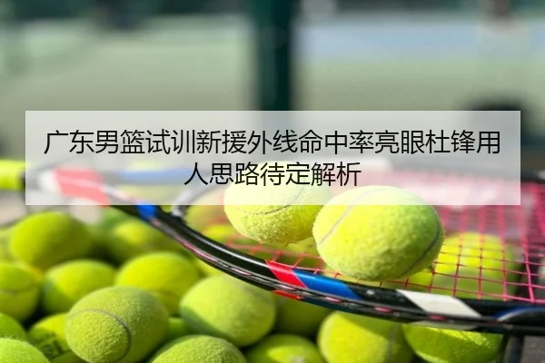 广东男篮试训新援外线命中率亮眼杜锋用人思路待定解析