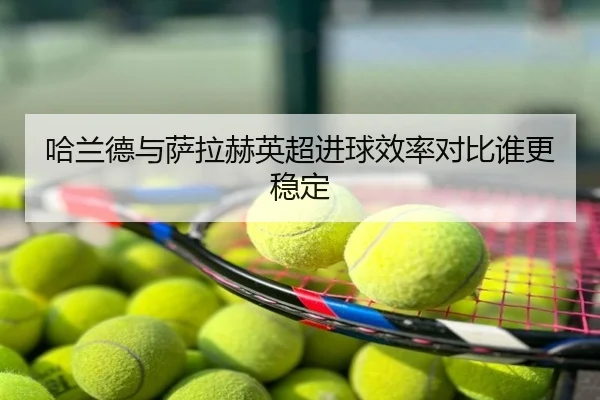 哈兰德与萨拉赫英超进球效率对比谁更稳定